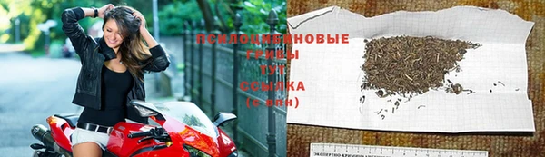 спиды Майский