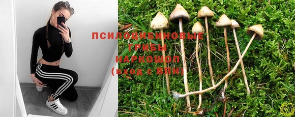винт Магадан