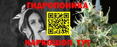 прущие крисы Волжский