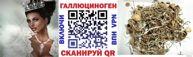 Псилоцибиновые грибы ЛСД  Ейск 